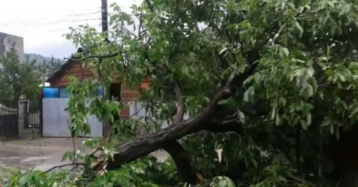Vremea se agita ANM a emis Cod portocaliu de vijelii si ploi torentiale in zona montana a Argesului