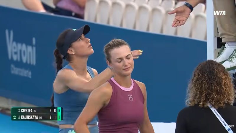 anna kalinskaya aspru criticata dupa abandonul din meciul cu sorana cirstea e extrem de vicleana