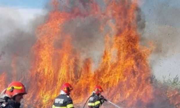 incendiu de mari dimensini in caras severin trei zile de interventii si focare inca active la sichevita