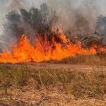 incendiu de mari dimensiuni in vaslui 30 de hectare de padure si vegetatie uscata distruse de flacari