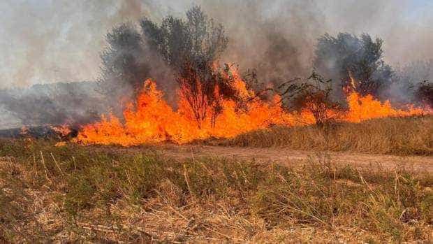 incendiu de mari dimensiuni in vaslui 30 de hectare de padure si vegetatie uscata distruse de flacari