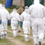 Alertă sanitar-veterinară de amploare la nivelul județului Argeș
