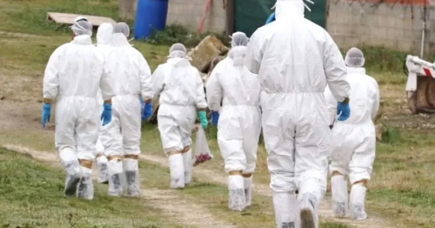 Alertă sanitar-veterinară de amploare la nivelul județului Argeș