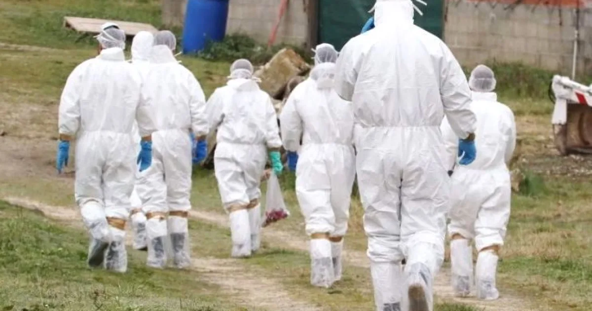 Alertă sanitar-veterinară de amploare la nivelul județului Argeș