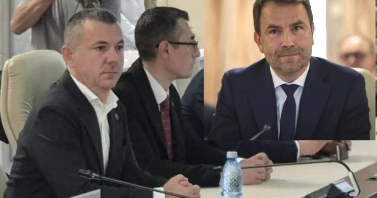 Drulă a speriat PSD-ul. Narcis Mircescu explică motivul