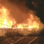 Argeș: Incendiu generalizat, pericol de propagare